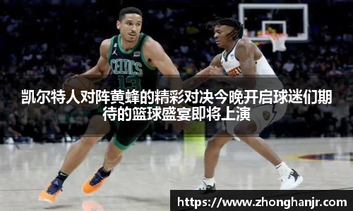智博19