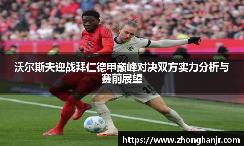智博19